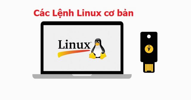 Những lệnh linux cơ bản